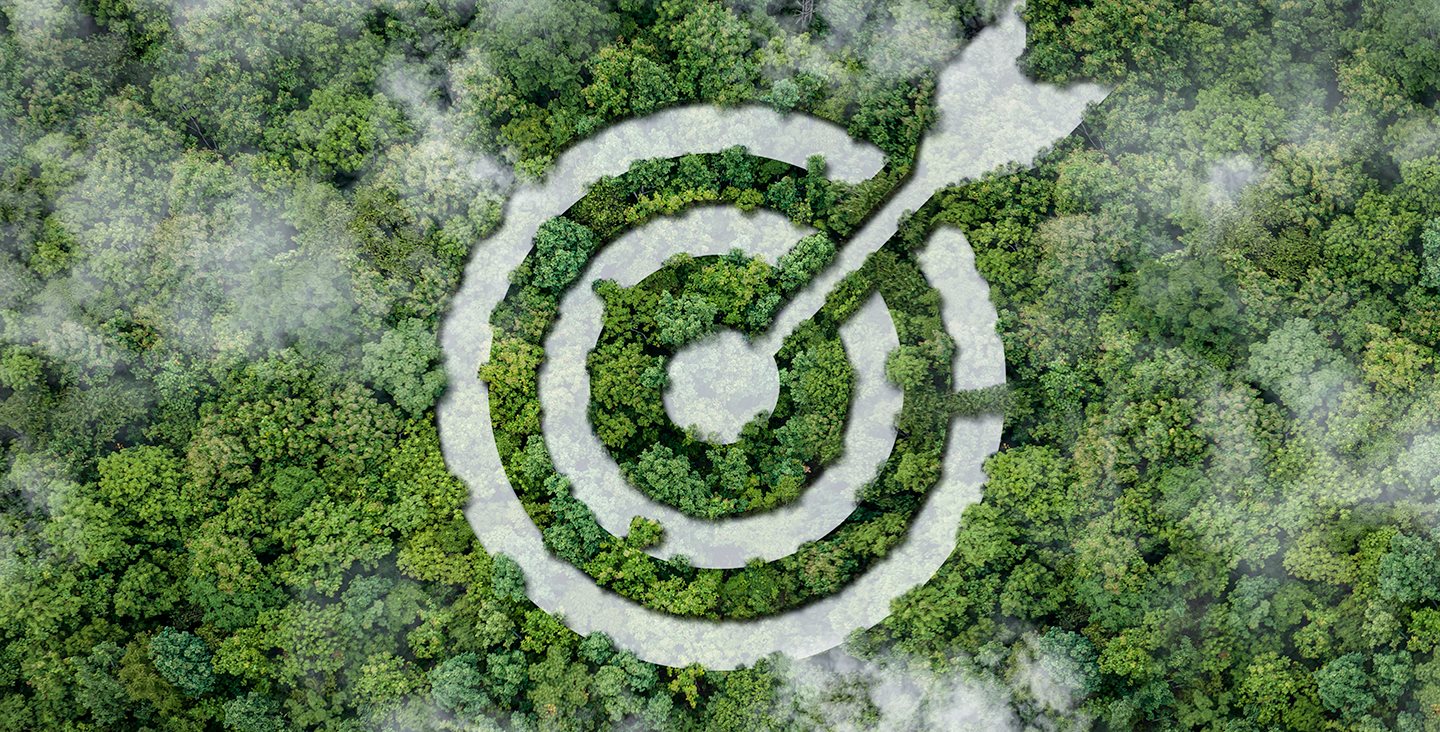 dm identifică temele esențiale de sustenabilitate