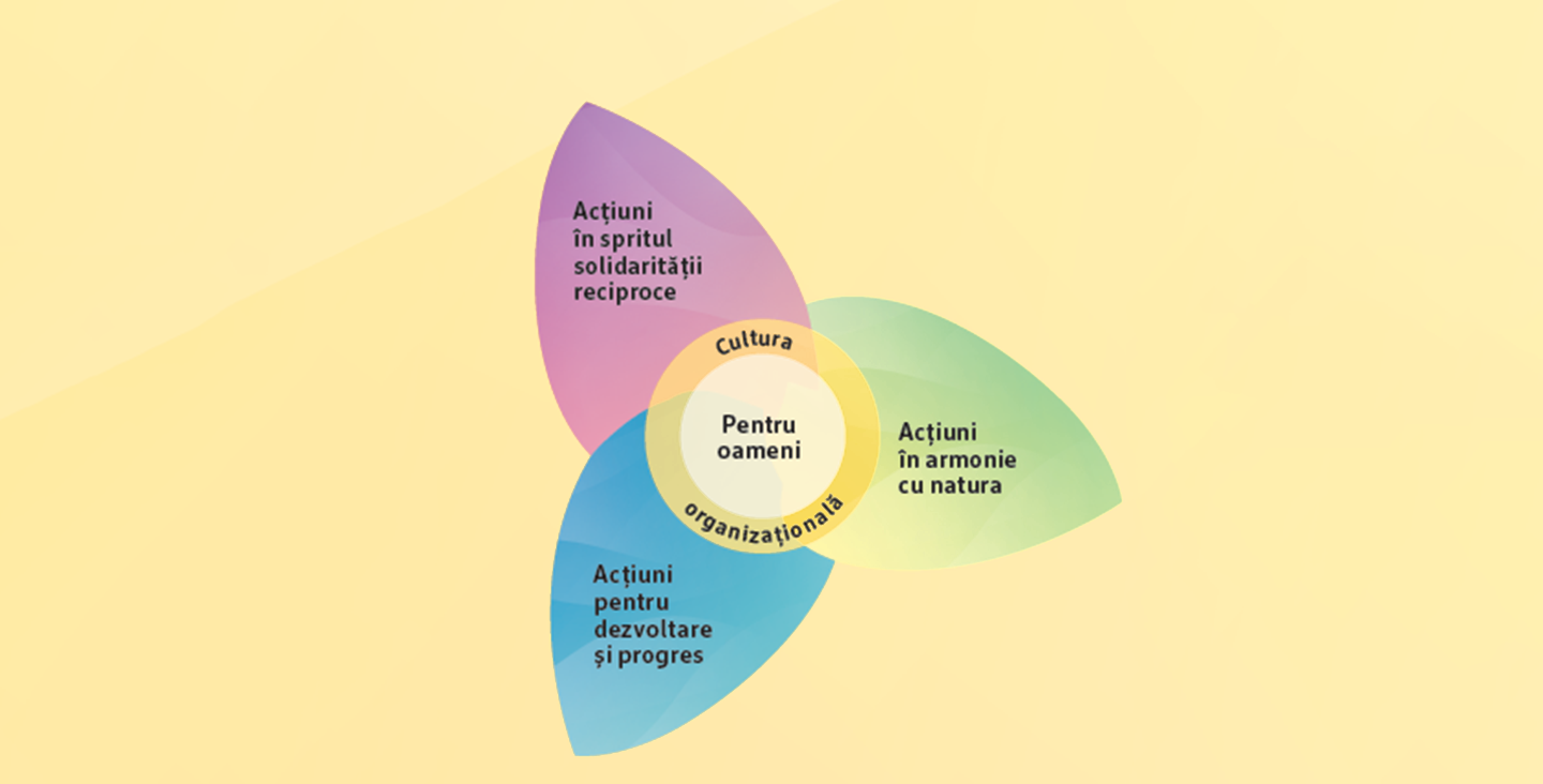 Orientare pentru acțiuni sustenabile la dm 