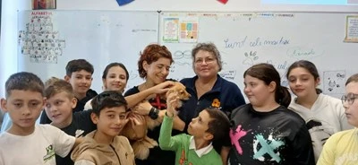 Asociatia ”Save Our Paws”